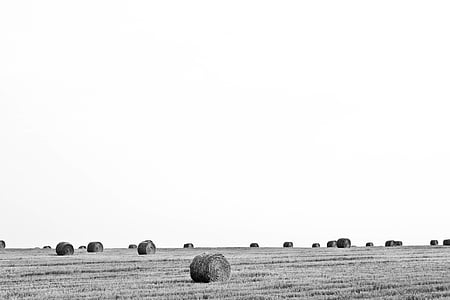 grayscale photo of grass field with bale of hay thumbnail