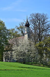 cathedral surrounded with trees photo thumbnail