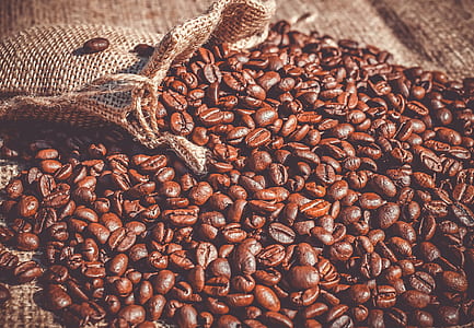 brown coffee beans on brown textile thumbnail