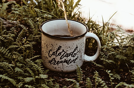 white coffee mug on leaves thumbnail
