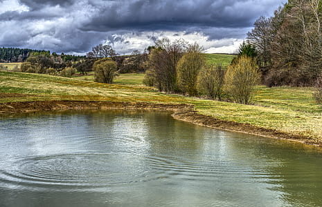 body of water near grass field thumbnail