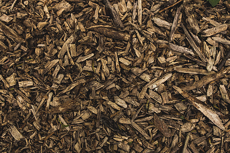 flat lay photography of wood chips thumbnail