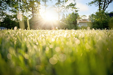 green grassland during daytime thumbnail