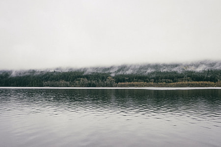 body of water in front of grassfield thumbnail