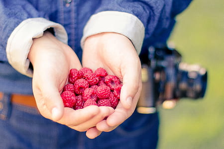 person holding red raspberries thumbnail