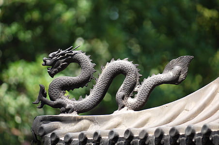 focal focus photography of dragon finial thumbnail