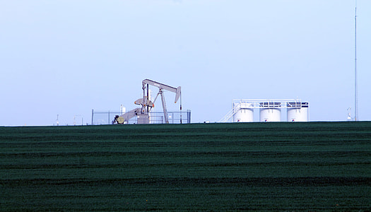 photography of white power plant thumbnail