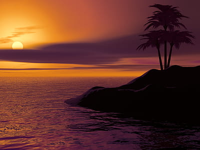 silhouette photography of palm tree underneath golden hour thumbnail