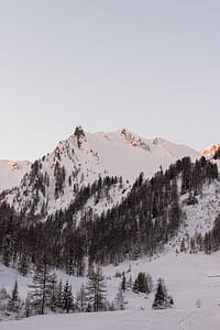 white mountain surrounded by black trees under white sky at daytime thumbnail