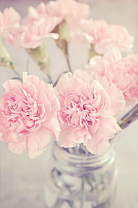 selective focus photo of pink peony flowers in vase thumbnail