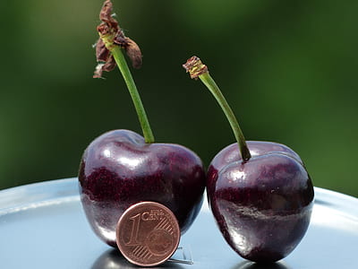 two cherries near 1 cent penny thumbnail