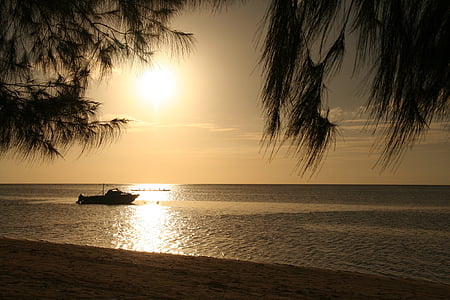 palm trees, sea, and boat during golden hour thumbnail