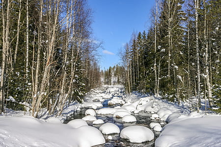 snow covered rocks on body of water between forest during daytime thumbnail