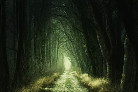 green leaf forest painting thumbnail