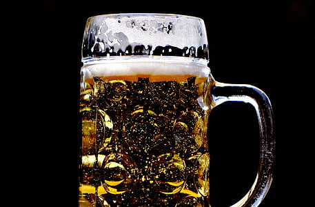 beer on clear glass beer mug thumbnail