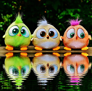 three orange, yellow, and green chick toy collection thumbnail