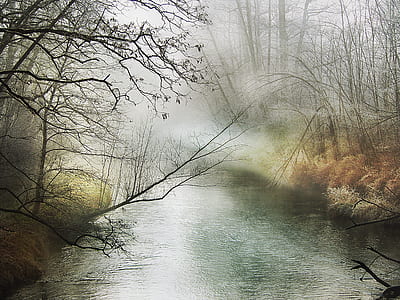 trees with bodies of water at daytime thumbnail