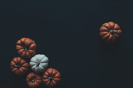 flat lay photography of five brown squashes and one white squash thumbnail