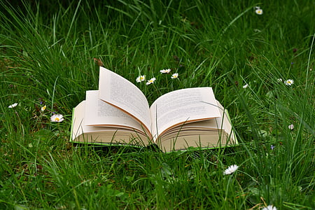 book on green grass during daytime thumbnail