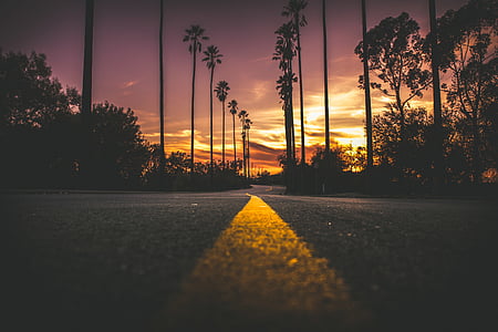 yellow lined road thumbnail