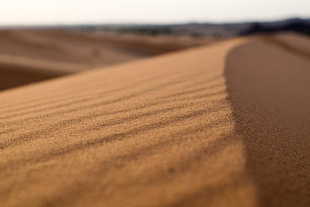 desert, dune, focus, landscape, sand thumbnail
