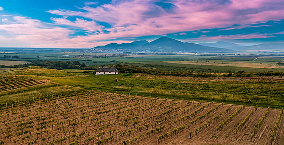 green plant field across white house and mountains at daytime thumbnail