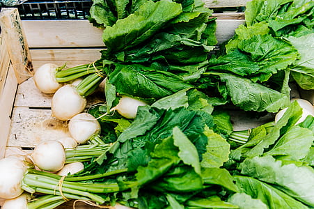 White Radishes thumbnail