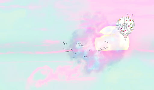 illustration of white and pink hot air balloon and black flying birds thumbnail
