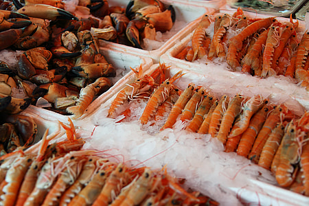 bunch of shrimps thumbnail