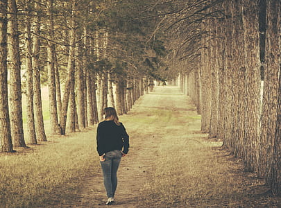 Woman Wearing Black Longsleeve and Gray Jeans Walking on Brown Forest thumbnail