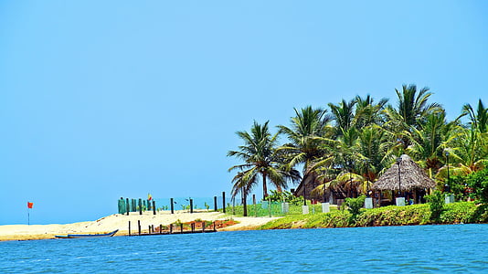 brown hut beside coconut trees at daytime thumbnail