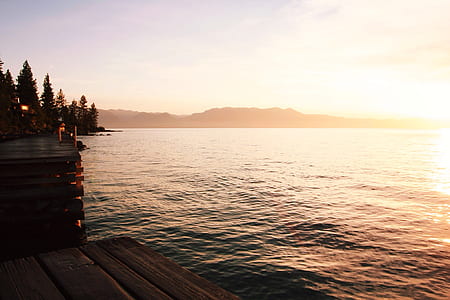 body of water near trees thumbnail