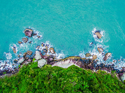 sea water meeting land with trees above land thumbnail