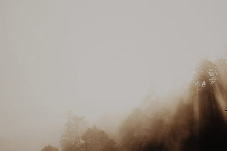 foggy moutains thumbnail