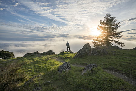 man standing on rock surrounded by grass thumbnail