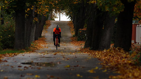 man biking on road between trees thumbnail