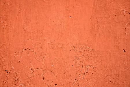 orange wall paint thumbnail