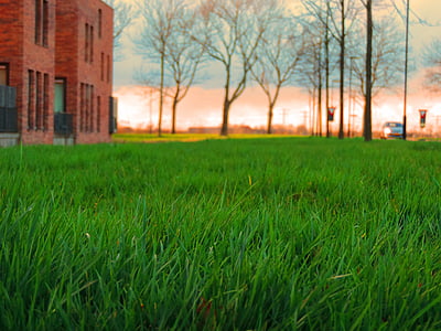brown concrete building near grass thumbnail