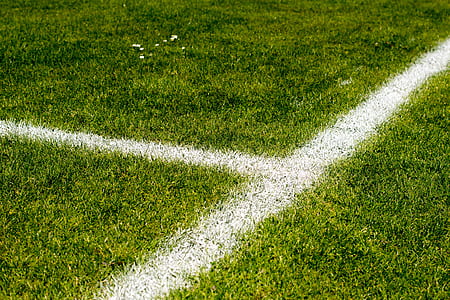 T-line pathway on grass thumbnail