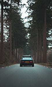 black car on road between trees during day thumbnail