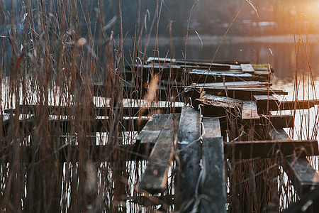 A walk by the lake thumbnail