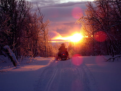 silhouette of person riding snowmobile besides trees during sunset thumbnail