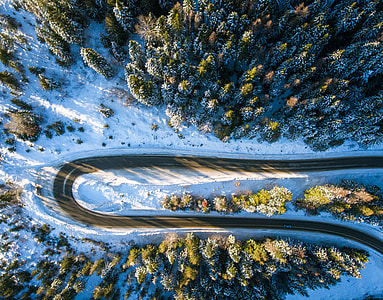 white and green road and trees covered with snow thumbnail