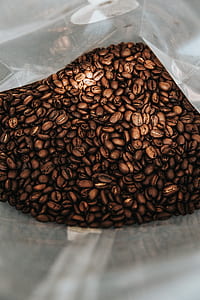 coffee beans in clear plastic bag thumbnail