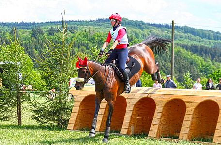 man riding horse during daytime thumbnail