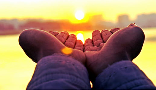 person's two hands thumbnail