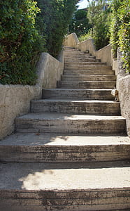 gray concrete stairs between plants at daytime photo thumbnail