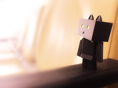 depth of field photograph of box cat thumbnail