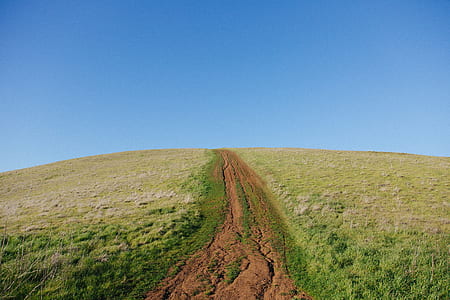 pathway in the middle of green grass field thumbnail