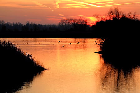sunset illustration thumbnail